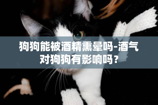 狗狗能被酒精熏暈嗎-酒氣對狗狗有影響嗎？