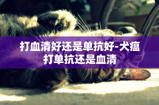 打血清好還是單抗好-犬瘟打單抗還是血清