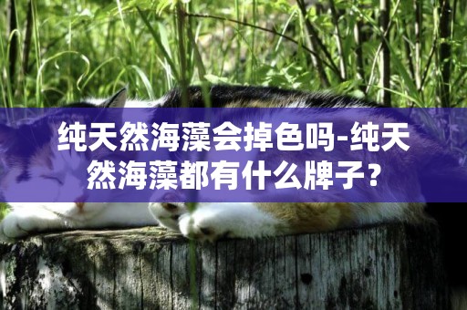 純天然海藻會掉色嗎-純天然海藻都有什么牌子？