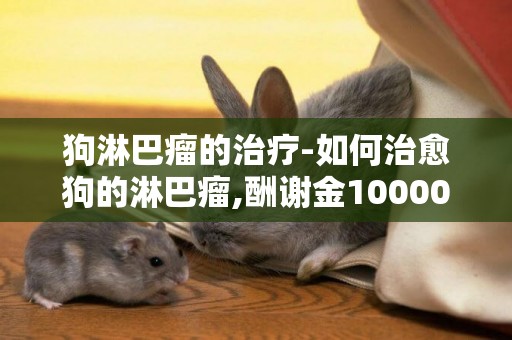 狗淋巴瘤的治療-如何治愈狗的淋巴瘤,酬謝金10000元!