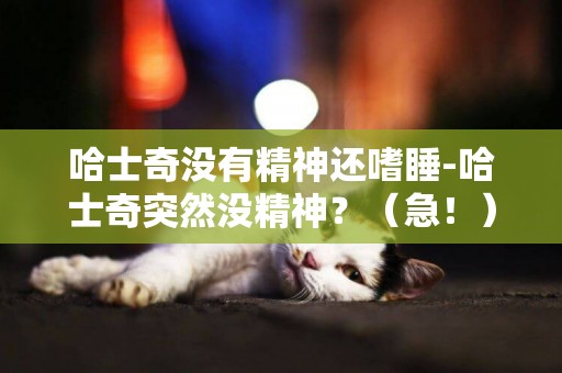 哈士奇沒有精神還嗜睡-哈士奇突然沒精神？（急！）