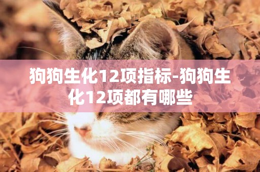 狗狗生化12項指標-狗狗生化12項都有哪些