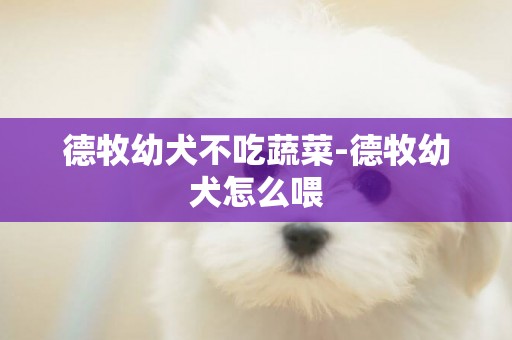德牧幼犬不吃蔬菜-德牧幼犬怎么喂