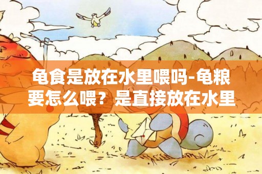 龜食是放在水里喂嗎-龜糧要怎么喂？是直接放在水里嗎