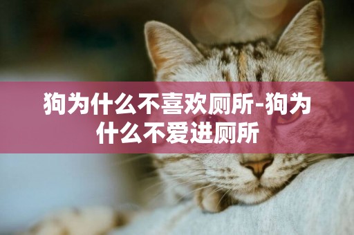 狗為什么不喜歡廁所-狗為什么不愛進廁所