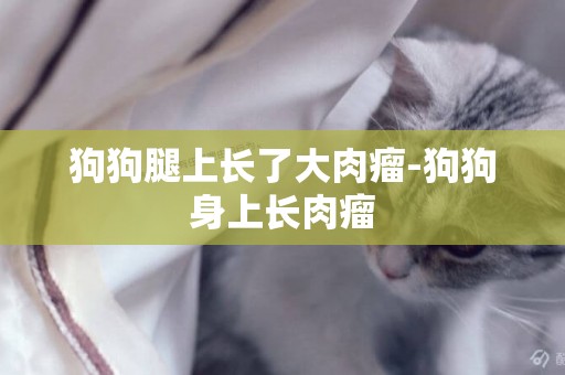 狗狗腿上長了大肉瘤-狗狗身上長肉瘤