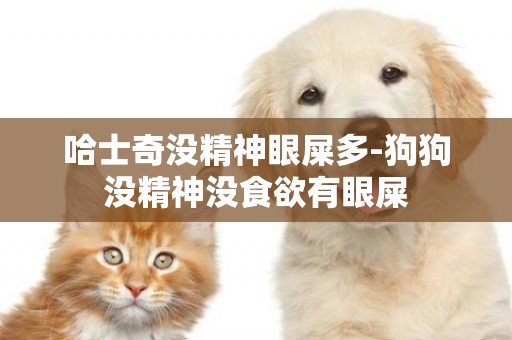 哈士奇沒精神眼屎多-狗狗沒精神沒食欲有眼屎
