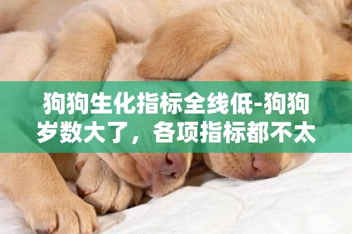 狗狗生化指標全線低-狗狗歲數大了，各項指標都不太正常，求助~