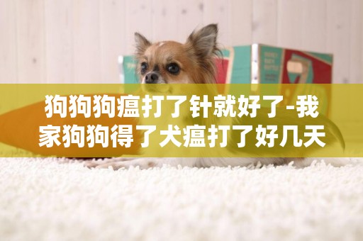 狗狗狗瘟打了針就好了-我家狗狗得了犬瘟打了好幾天的針了是不是應該在打下去