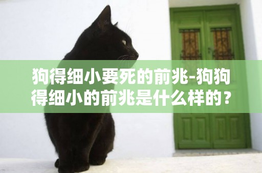 狗得細小要死的前兆-狗狗得細小的前兆是什么樣的？
