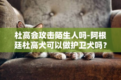 杜高會攻擊陌生人嗎-阿根廷杜高犬可以做護衛犬嗎？？？對陌生人有攻擊力嗎？