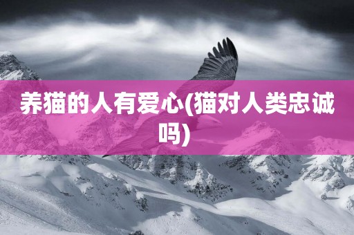 養貓的人有愛心(貓對人類忠誠嗎) 