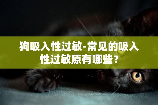 狗吸入性過敏-常見的吸入性過敏原有哪些？