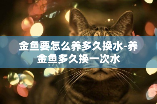 金魚要怎么養多久換水-養金魚多久換一次水
