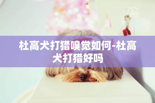 杜高犬打獵嗅覺如何-杜高犬打獵好嗎
