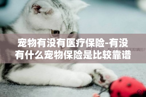 寵物有沒有醫療保險-有沒有什么寵物保險是比較靠譜的