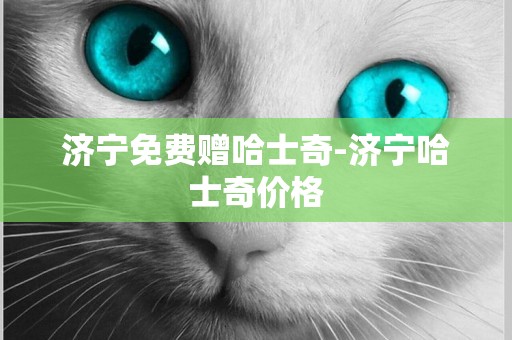 濟寧免費贈哈士奇-濟寧哈士奇價格