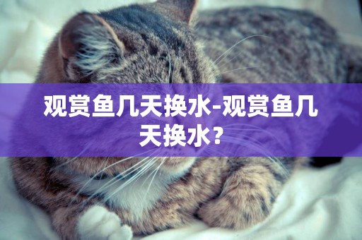 觀賞魚幾天換水-觀賞魚幾天換水？