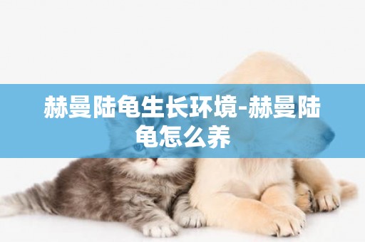 赫曼陸龜生長環境-赫曼陸龜怎么養