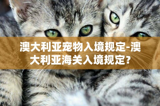 澳大利亞寵物入境規定-澳大利亞海關入境規定？