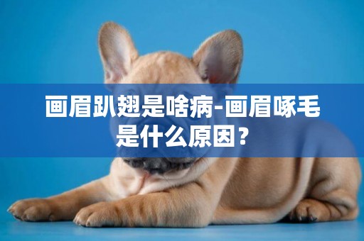 畫眉趴翅是啥病-畫眉啄毛是什么原因？