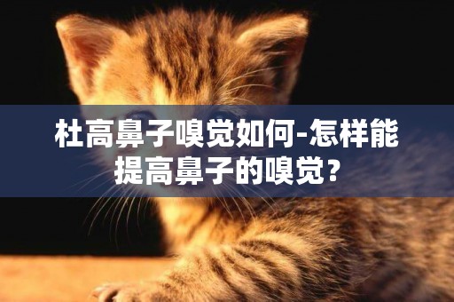 杜高鼻子嗅覺如何-怎樣能提高鼻子的嗅覺？