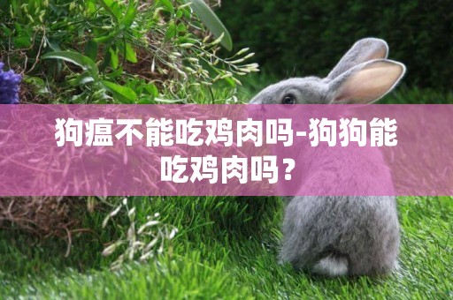 狗瘟不能吃雞肉嗎-狗狗能吃雞肉嗎？
