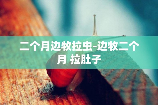 二個月邊牧拉蟲-邊牧二個月 拉肚子