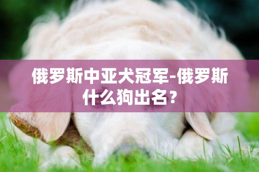 俄羅斯中亞犬冠軍-俄羅斯什么狗出名？