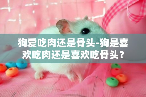 狗愛吃肉還是骨頭-狗是喜歡吃肉還是喜歡吃骨頭？