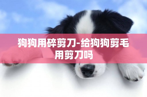 狗狗用碎剪刀-給狗狗剪毛用剪刀嗎