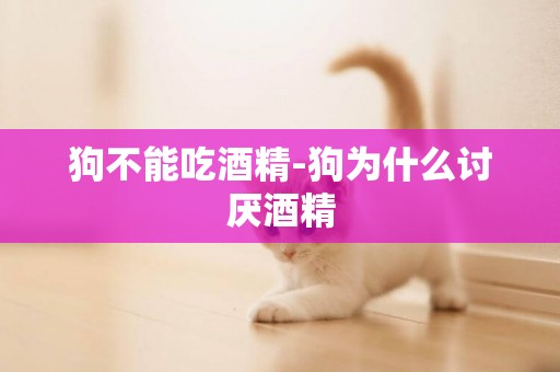 狗不能吃酒精-狗為什么討厭酒精