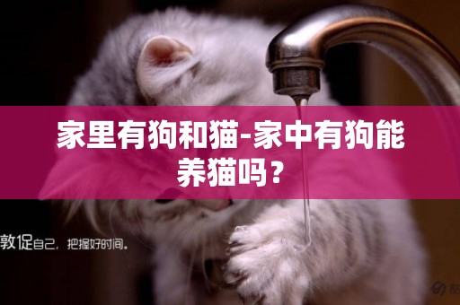 家里有狗和貓-家中有狗能養貓嗎？