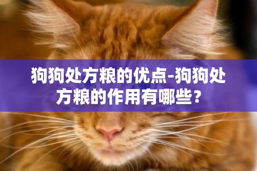 狗狗處方糧的優點-狗狗處方糧的作用有哪些？