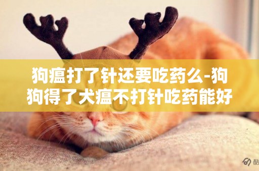 狗瘟打了針還要吃藥么-狗狗得了犬瘟不打針吃藥能好么？