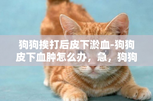狗狗挨打后皮下淤血-狗狗皮下血腫怎么辦，急，狗狗#寵物