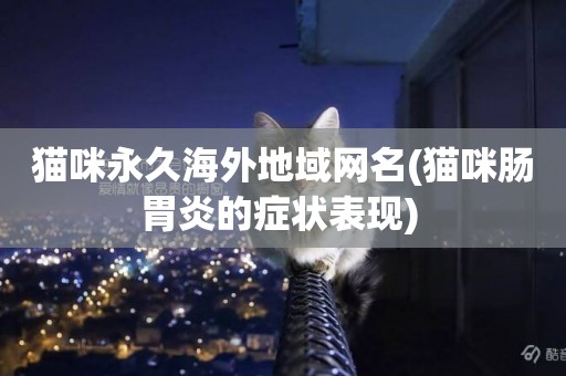 貓咪永久海外地域網名(貓咪腸胃炎的癥狀表現) 