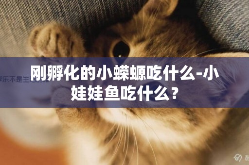 剛孵化的小蠑螈吃什么-小娃娃魚吃什么？