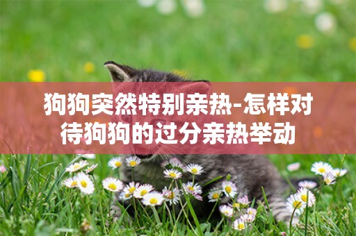 狗狗突然特別親熱-怎樣對待狗狗的過分親熱舉動