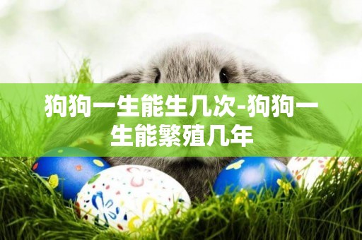 狗狗一生能生幾次-狗狗一生能繁殖幾年