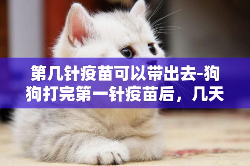 第幾針疫苗可以帶出去-狗狗打完第一針疫苗后，幾天可以出門？