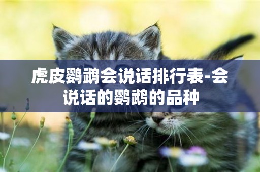 虎皮鸚鵡會說話排行表-會說話的鸚鵡的品種