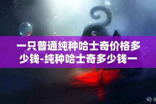 一只普通純種哈士奇價格多少錢-純種哈士奇多少錢一只