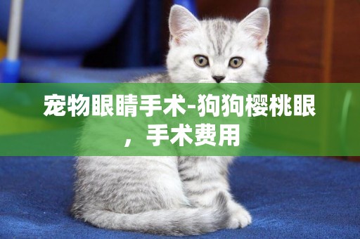 寵物眼睛手術-狗狗櫻桃眼，手術費用
