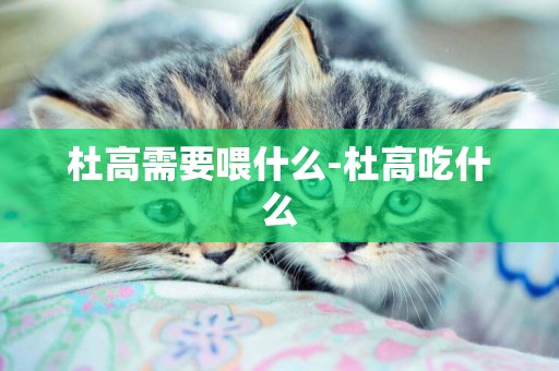 杜高需要喂什么-杜高吃什么
