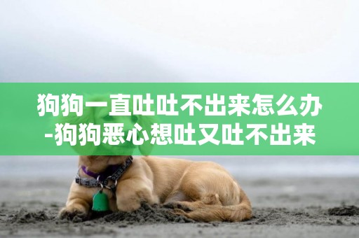 狗狗一直吐吐不出來怎么辦-狗狗惡心想吐又吐不出來怎么回事