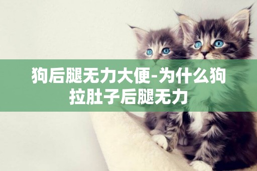 狗后腿無力大便-為什么狗拉肚子后腿無力