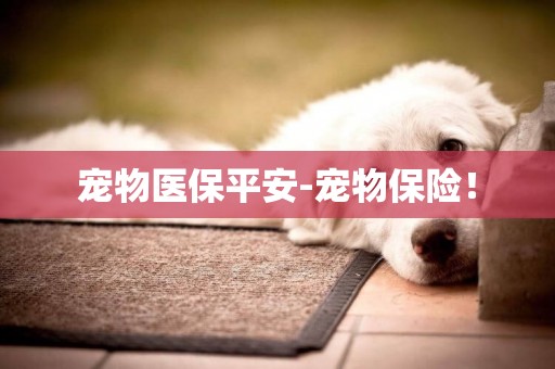 寵物醫保平安-寵物保險！