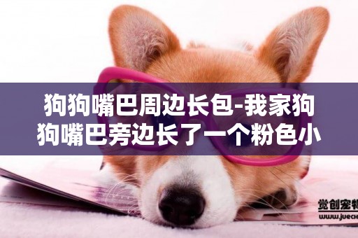 狗狗嘴巴周邊長包-我家狗狗嘴巴旁邊長了一個粉色小包包是什么東西