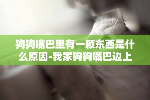 狗狗嘴巴里有一顆東西是什么原因-我家狗狗嘴巴邊上長了兩個肉疙瘩是什么原因？該如何治療？